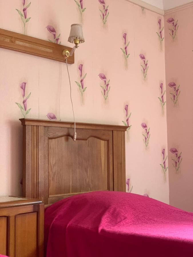 Hotel Restaurant D'Alsace Plombières-les-Bains Екстериор снимка
